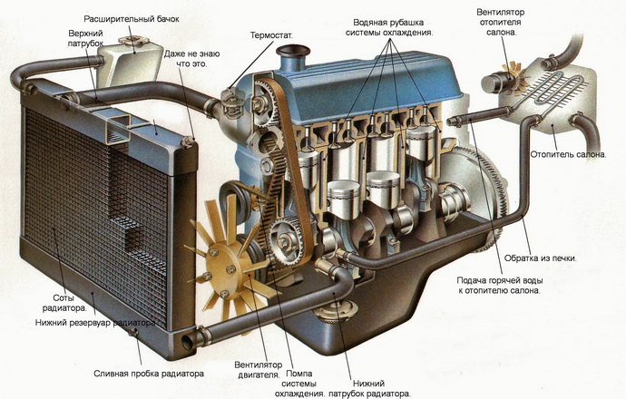 Схема устройства системы охлаждения двигателя.